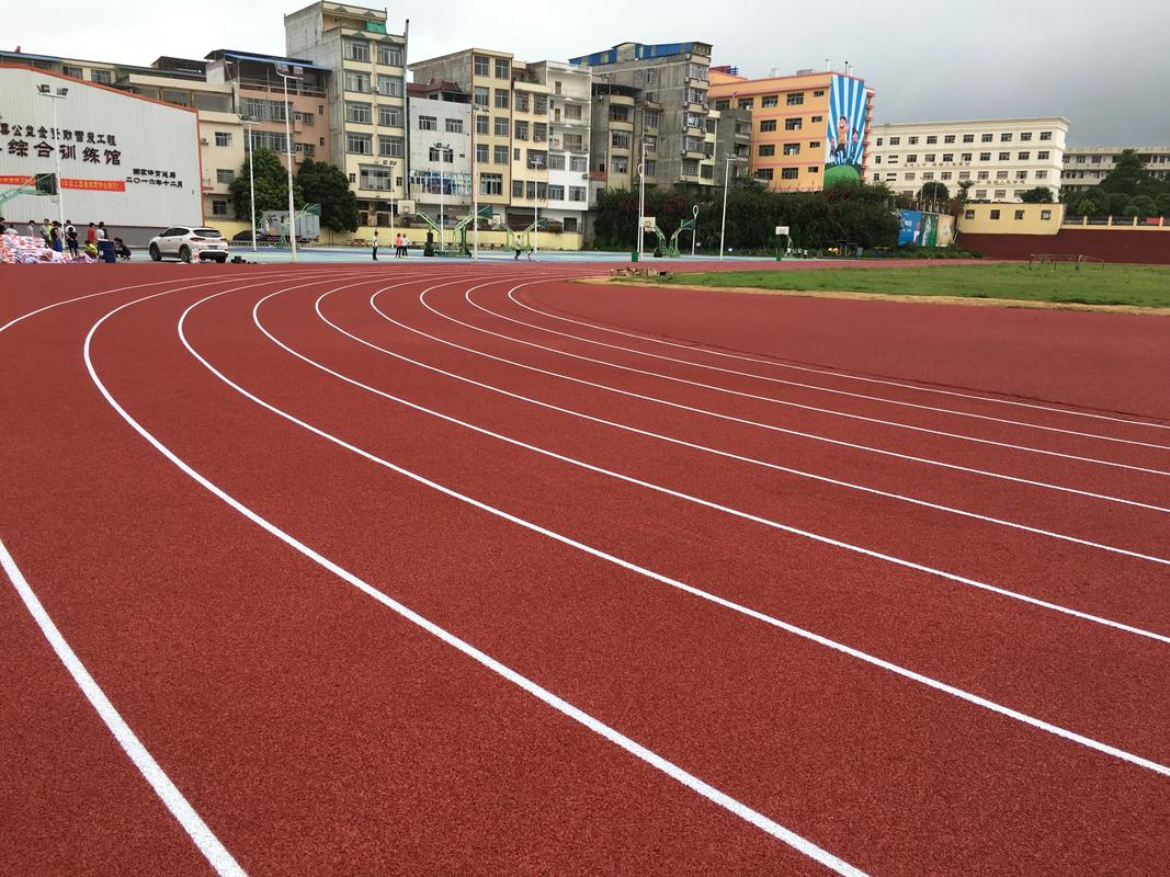 拉萨市EPDM颗粒塑胶跑道材料 - 哪里好